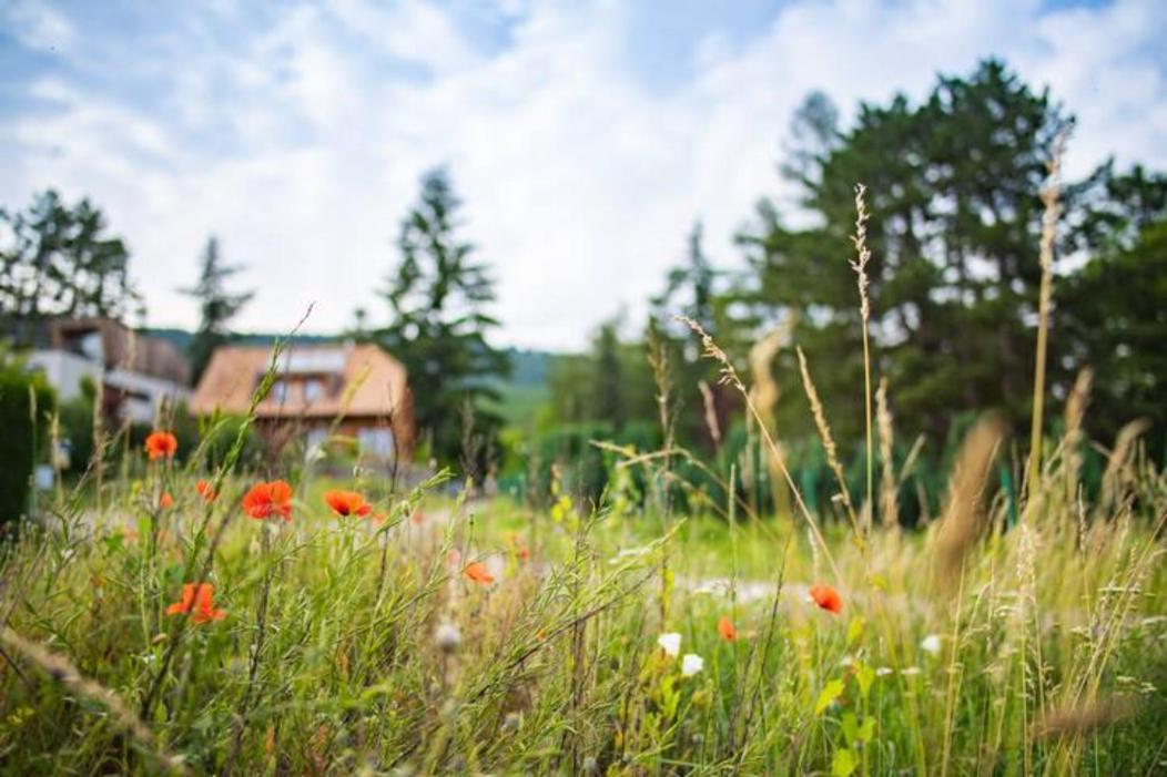 Le Holzberg Et Ses Suites Osenbach Bagian luar foto