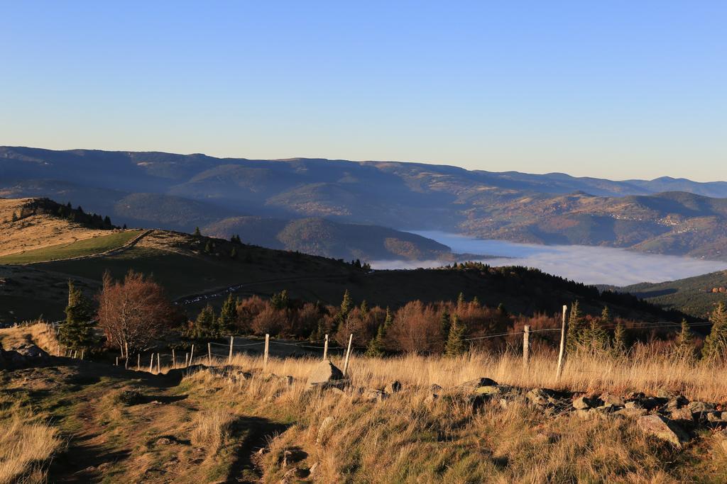 Le Holzberg Et Ses Suites Osenbach Bagian luar foto