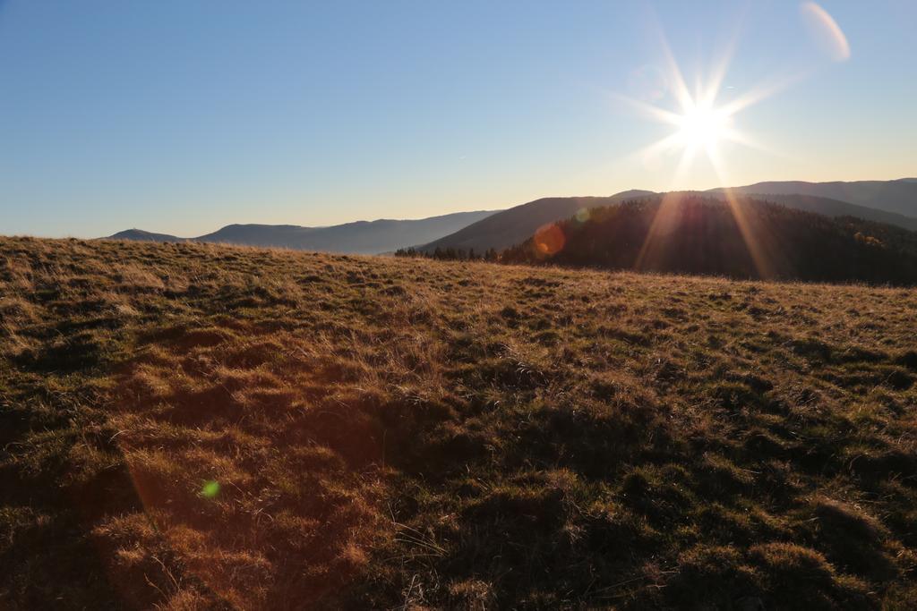 Le Holzberg Et Ses Suites Osenbach Bagian luar foto