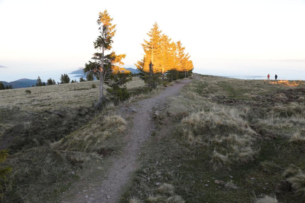 Le Holzberg Et Ses Suites Osenbach Bagian luar foto