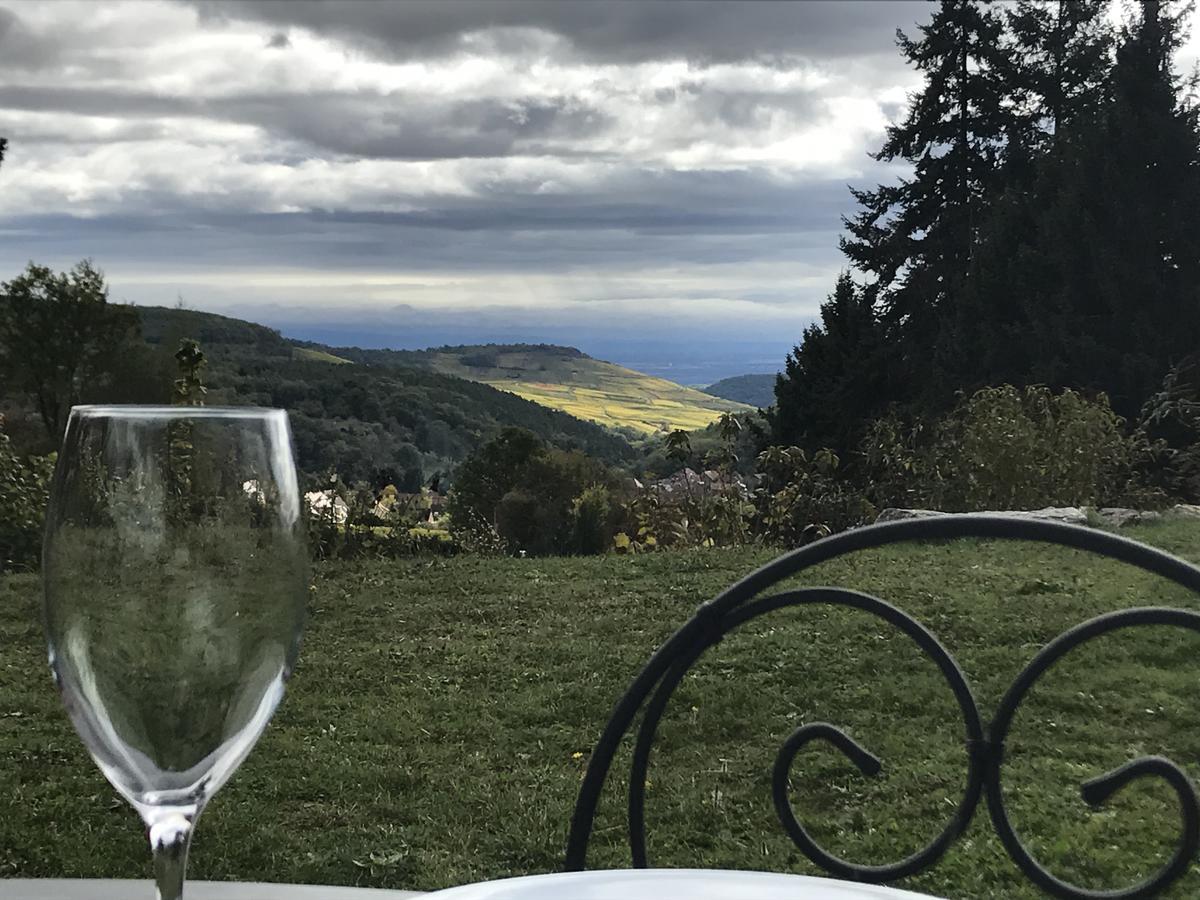 Le Holzberg Et Ses Suites Osenbach Bagian luar foto